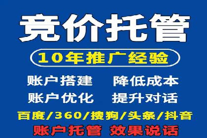 网络推广竞价实战：某电商平台的成功案例